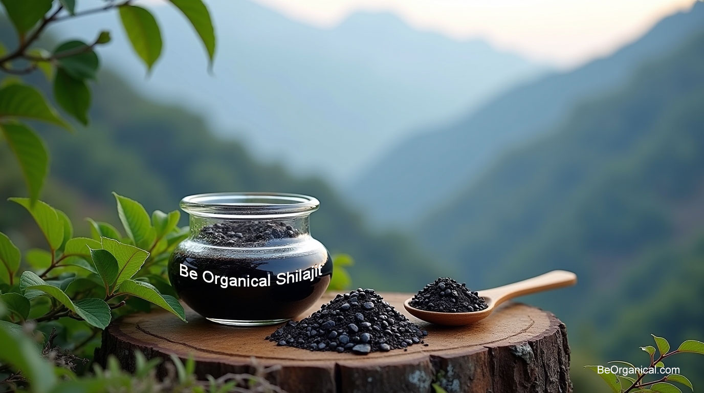 ancient origine of shilajit